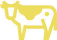 features-cow-icon